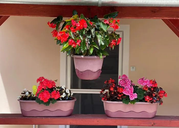 Do-ti Apartmanhaz דירה בלטונללה